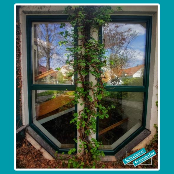 Holzfenster-Renovierung mit Aluminium moosgrün